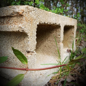 Cinder Block Social
